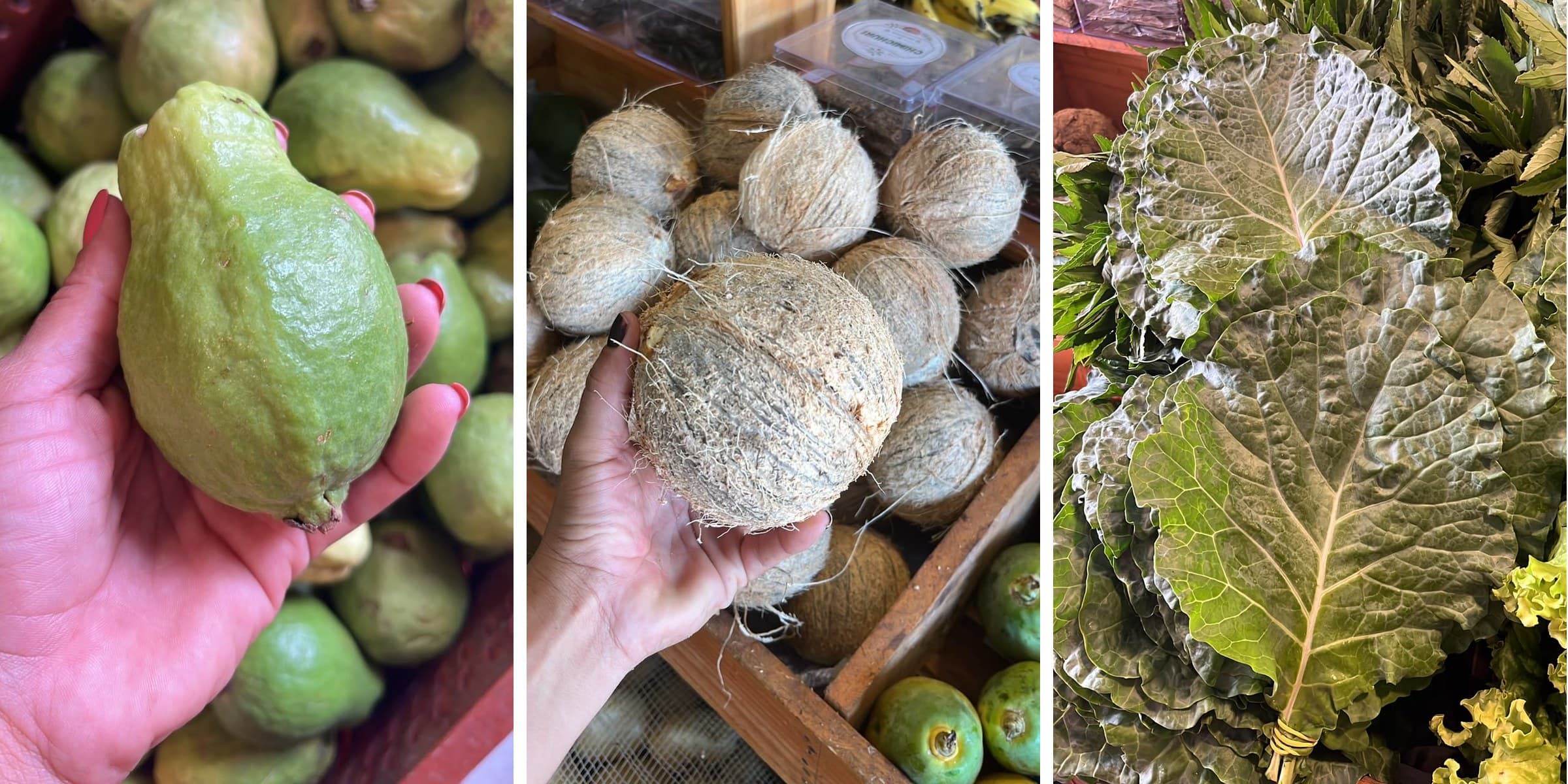 Campanha Frutas fresquinhas todo dia