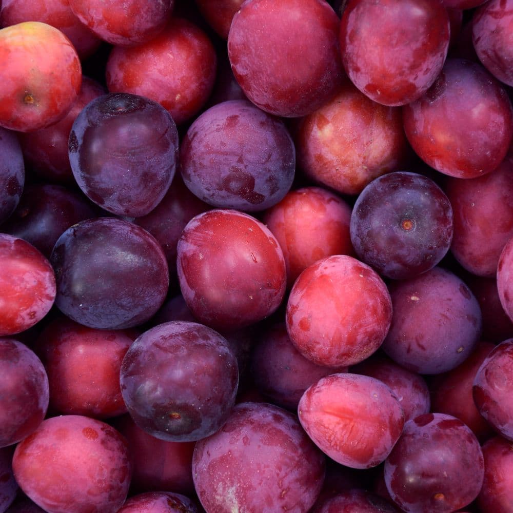 Ameixa fresca (kg)