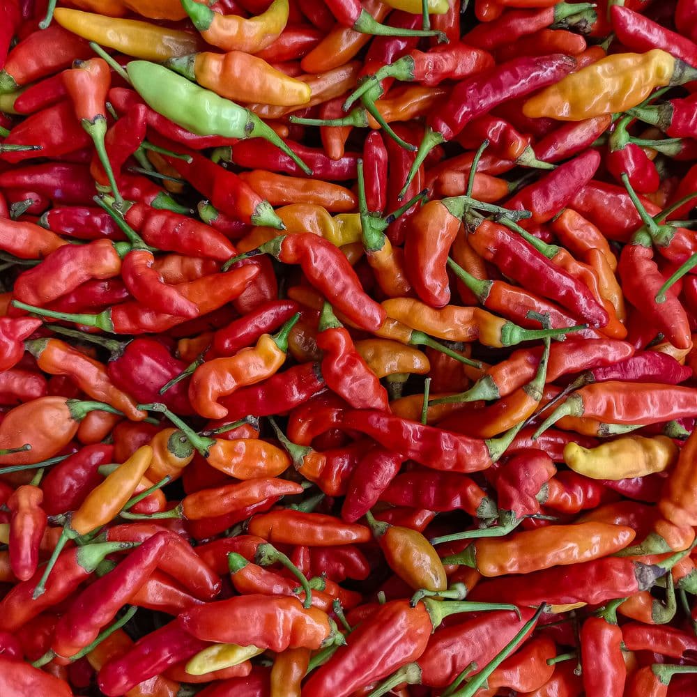 Pimenta de cheiro (4 unidades)